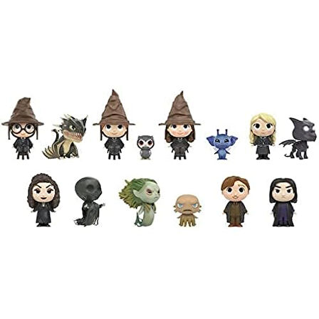 Funko Fgr-Mystery Mini, Harry Potter Sürpriz Paket Figürü