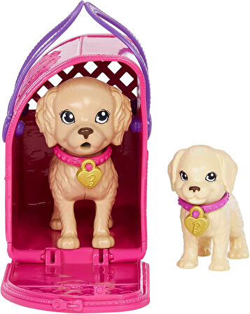 Barbie Ve Köpekçikleri Oyun Seti, 3 Yaş Ve Üzeri, Hkd86