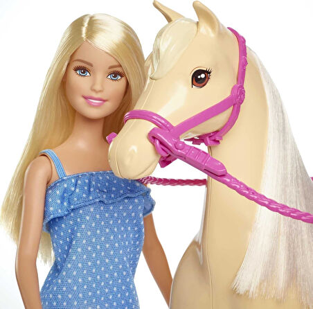 Barbie Ve Güzel Atı Oyun Seti, 3 Yaş Ve Üzeri, Fxh13