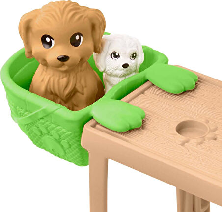 Barbie Chelsea Kaykay Parkı, 3 Yaş Ve Üzeri, Hjy35