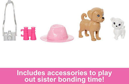 Barbie Ve Stacie Kız Kardeşler İkili Set