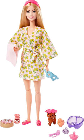 Barbie Brand Hkt90 Brb Wlnss Dl Spa Ndv, Çok Renkli