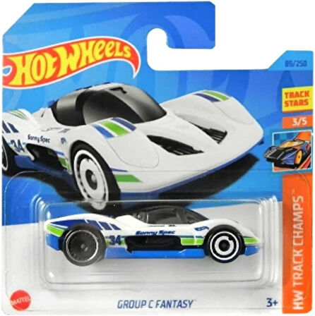 Hot Wheels 1:64 Tekli Arabalar 2023 089/250 Hw Track Champs Group C Fantasy