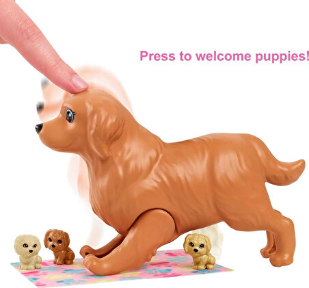 Barbie Ve Yeni Doğan Köpekler Oyun Seti, 3 Yaş Ve Üzeri, Hck75