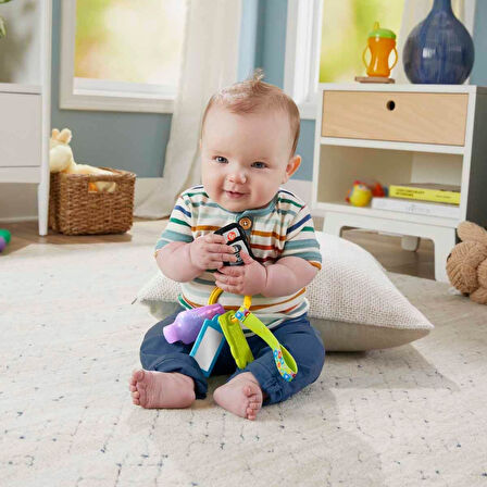 Fisher-Price Lnl Eğlenceli Aktivite Anahtarı, Oyuncak