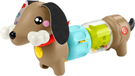 Fisher-Price Köpekçikle Eğlenceli Aktiviteler, Oyuncak