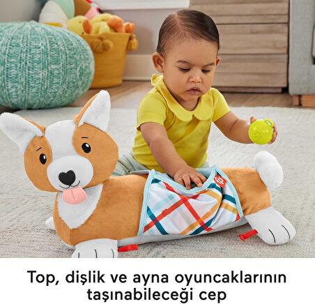 Fisher-Price 3'Ü 1 Arada Köpekçik Uzanma Yastığı, Hjw10