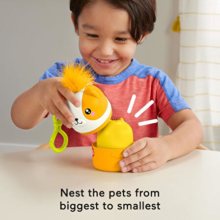 Fisher-Price Taşınabilir Sevimli Dostlar, Oyuncak