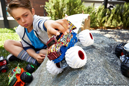 Fyj83 Monster Trucks 1:24 Arabalar /Hw Monster Trucks