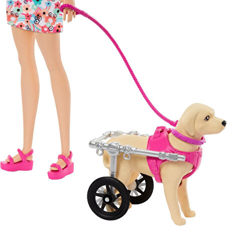 Barbie Ve Engelli Köpeği Oyun Seti