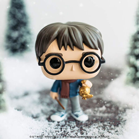 Funko Pop: Harry Potter