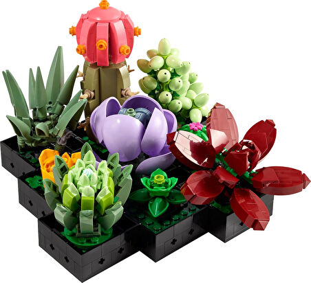Lego® Icons Sukulentler 10309 - Yetişkinler İçin Lego Botanik Koleksiyonunun Tamamlayıcısı Sergilene