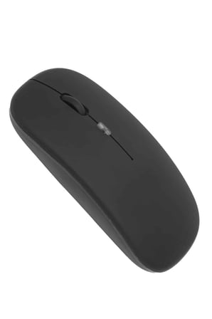 PG- MOUSE