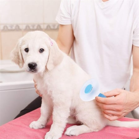Kedi Köpek Tüy Toplayıcı Kendini Temizleyebilen Ergonomik Saplı Evcil Hayvan Tarağı Mavi (5372)