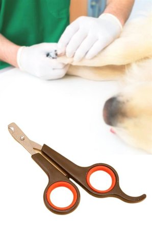 Küçük Çelik Uçlu Kedi Köpek Evcil Hayvan Tırnak Makası Pati Bakım Aleti Ergonomik Kaymaz Sap (5372)