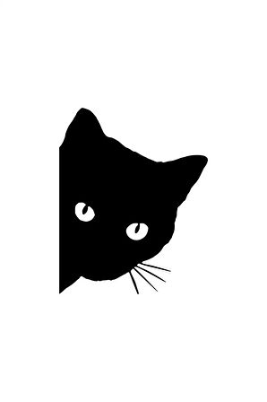 Kedi Sticker (Oto-Motor-Laptop-Duvar-Dekor) 10 x 13 cm