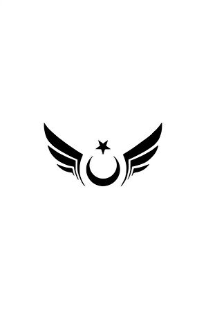 Kanatlı Türk Bayrağı Sticker (Oto-Motor-Laptop-Duvar-Dekor) 10 x 5 cm