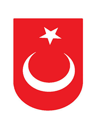 Türk Bayrağı 3 Duvar Dekor Sticker Kırmızı 40 x 80 cm
