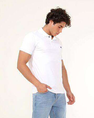 Polo Yaka Lakost örgü T-Shırt