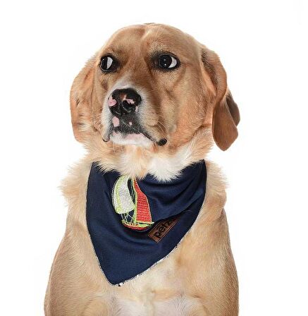 Köpek Bandana / Sailor