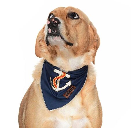 Köpek Bandana / Navy