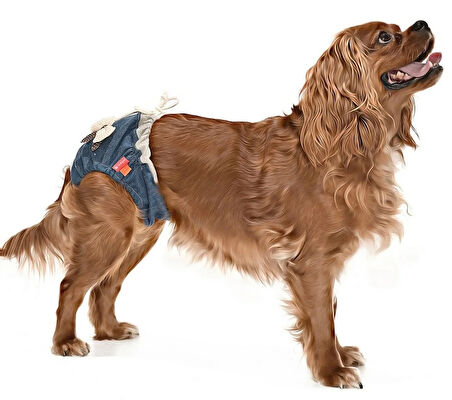 Köpek Külot - Özel Günler için Çıkarılamaz Çamaşır Denim