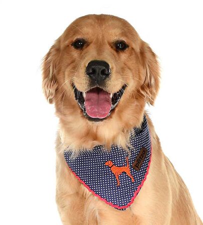 Köpek Bandana / Nysa