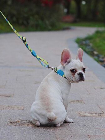 Köpek Gezdirme Tasması Hi Dream Lemon Pie