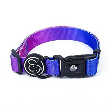 Köpek Boyun Tasması Jaxie