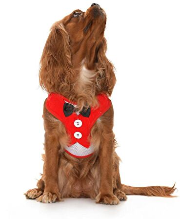 Köpek Göğüs Tasması ve Uzatması Patu Kırmızı