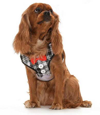 Köpek Göğüs Tasması ve Uzatması Patu Gri