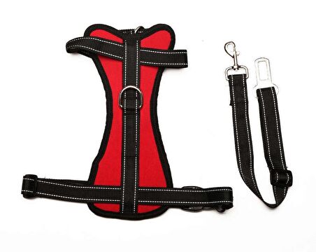 Köpek Araç Emniyet Kemeri ve Tasması  Arnav Kırmızı
