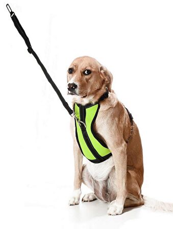 Köpek Araç Emniyet Kemeri ve Tasması Arnav Sarı
