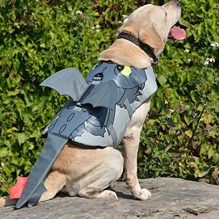 Köpek Can Yeleği Dragon