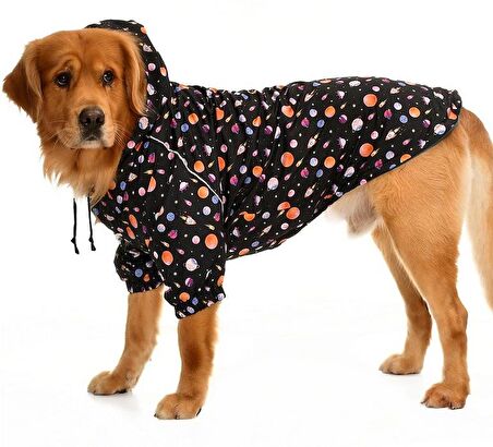 Orta ve Büyük Irk Köpek Yağmurluk - Rajah
