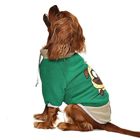 Küçük ve Orta Irk Köpek Sweatshirt - Ingo Yeşil - Köpek Kıyafeti