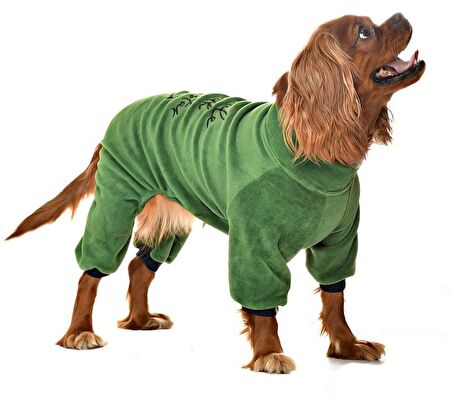 Küçük ve Orta Irk Köpek Pijama Polar Tulum - Zendaya - Köpek Kıyafeti