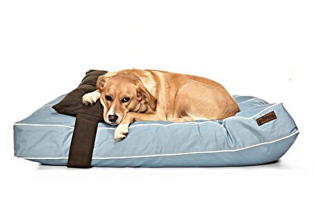 Petza Üstü Açık Fermuarlı Mavi Köpek Yatağı