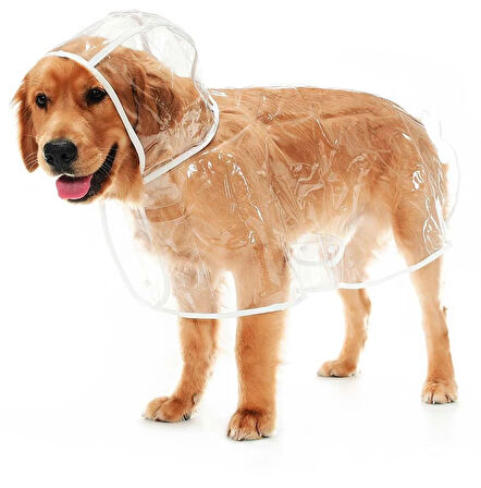 Köpek Büyük Irk Yağmurluk Otso  Şeffaf