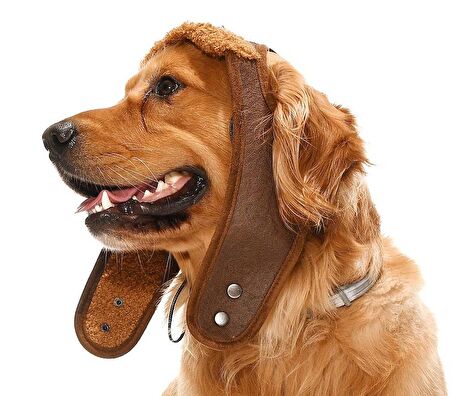 Küçük Orta ve Büyük Irk Köpek Şapka Pilot Kahve