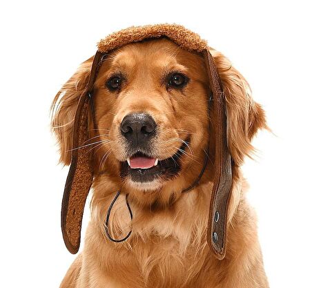 Küçük Orta ve Büyük Irk Köpek Şapka Pilot Kahve