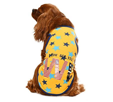 Küçük ve Orta Irk Köpek T-shirt Ditte