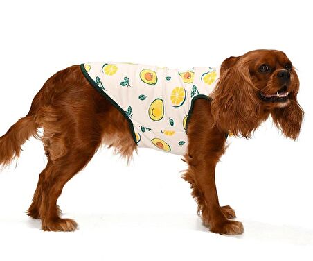 Küçük ve Orta Irk Köpek T-shirt Kaj