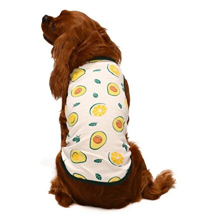 Küçük ve Orta Irk Köpek T-shirt Kaj