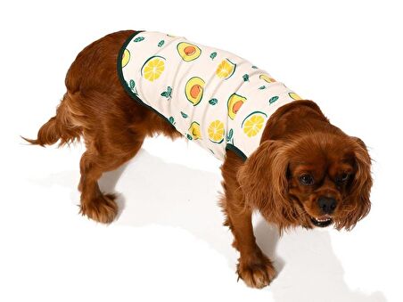 Küçük ve Orta Irk Köpek T-shirt Kaj