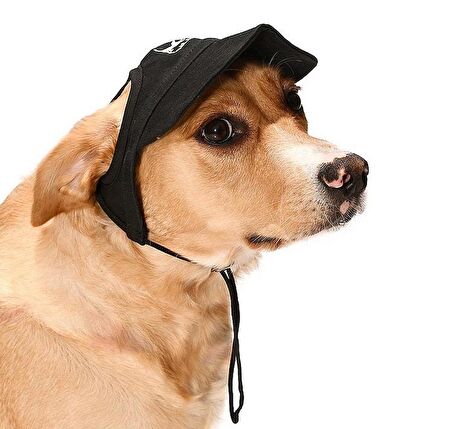Küçük ve Orta Irk Köpekler için Şapka Japers