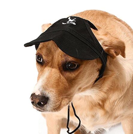 Küçük ve Orta Irk Köpekler için Şapka Japers