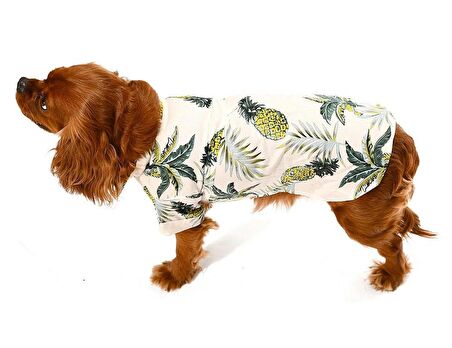 Küçük ve Orta Irk Köpek Gömlek Maija - Köpek Kıyafeti