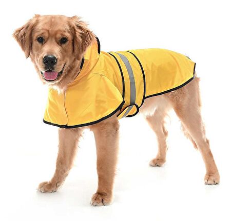 Köpek Büyük ve Orta Irk Yağmurluk Ekon Sarı