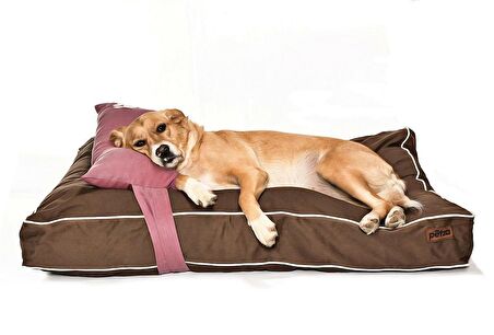 Petza Moat L Üstü Açık - Yastıklı Çift Taraflı - Fermuarlı Kahverengi - Pembe Büyük - Orta Irk Köpek Yatağı